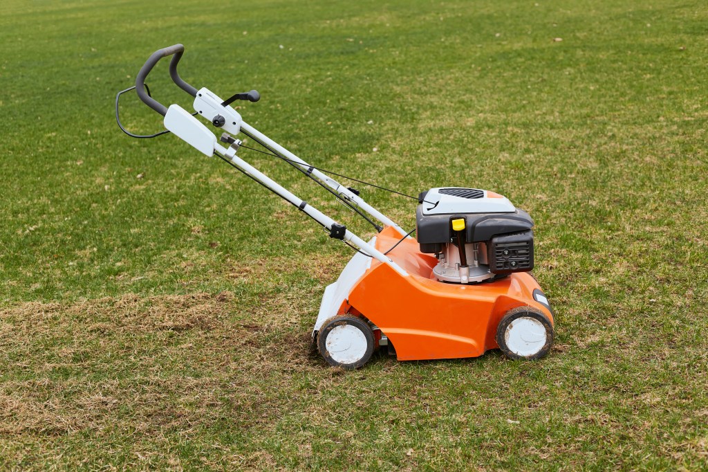 Best Lawn Cutting Machine In Delhi 